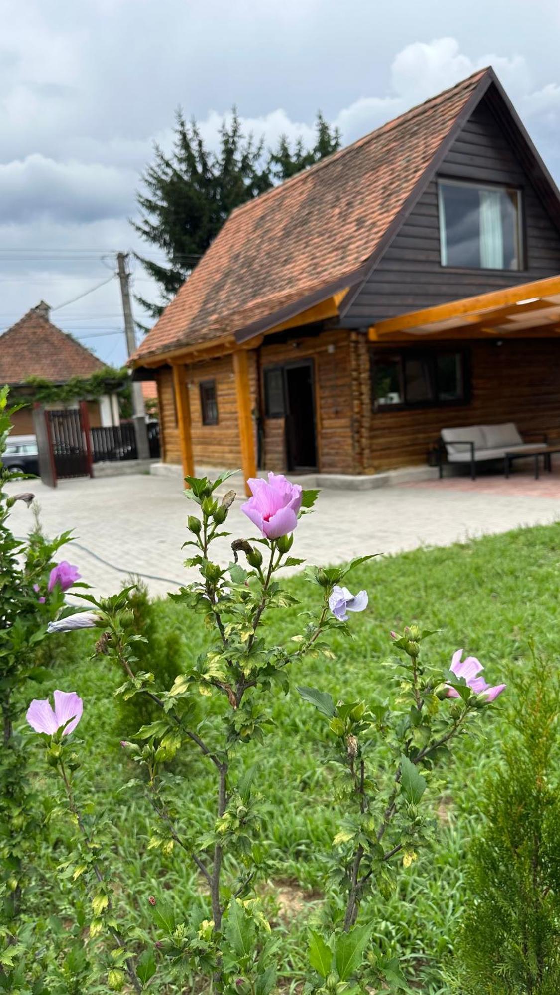 Casuta Cu Tihna Vila Porumbacu de Sus Exterior foto