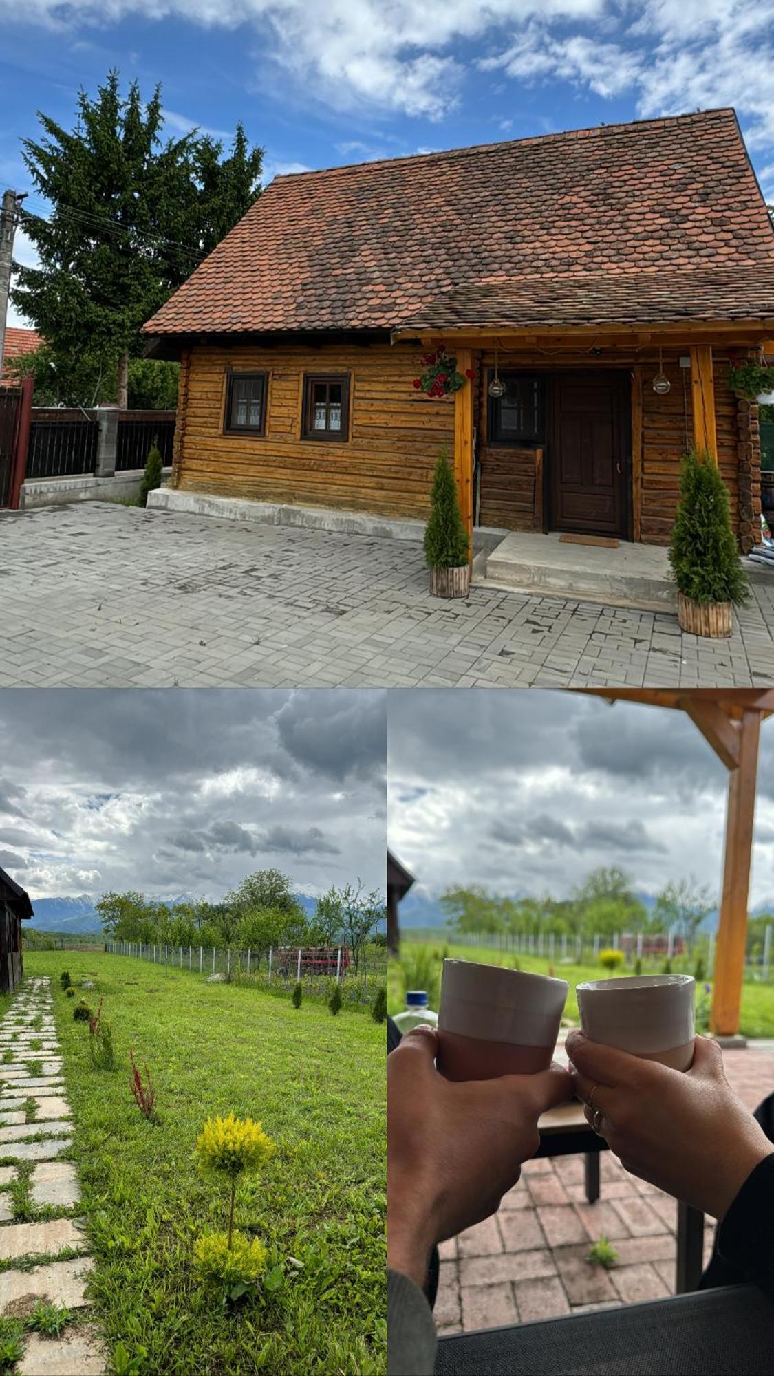 Casuta Cu Tihna Vila Porumbacu de Sus Exterior foto